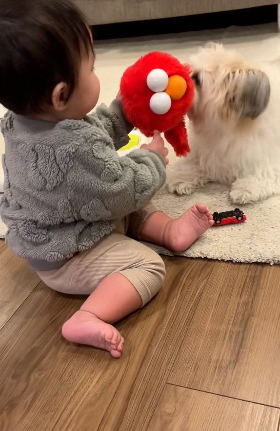 ぬいぐるみを取り合うふたり