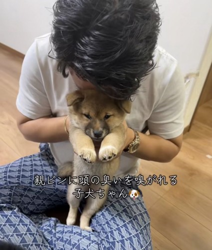子犬のにおいを嗅ぐパパ
