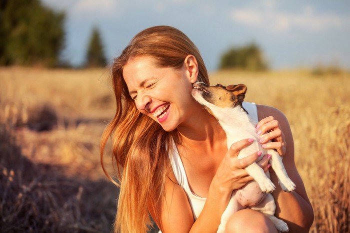 じゃれる子犬と女性