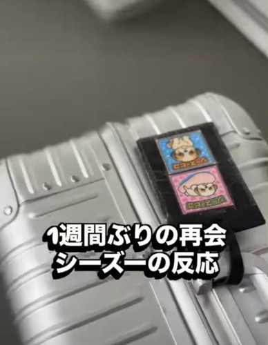 スーツケースを持って帰宅