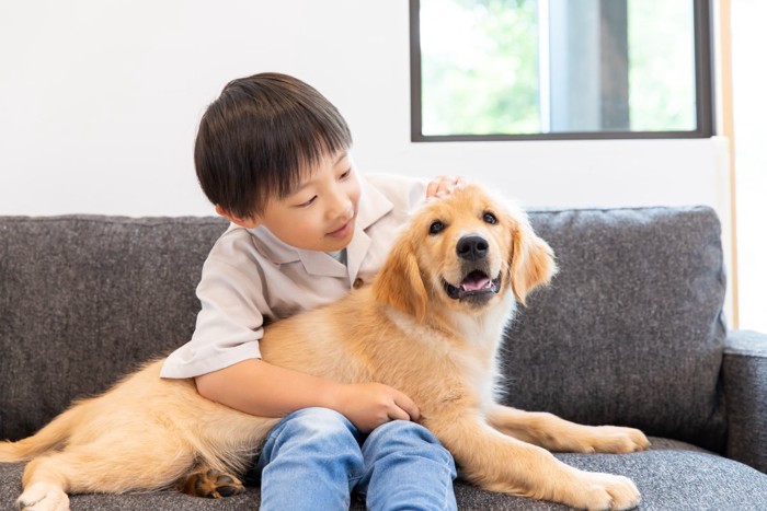 犬と触れ合う男の子