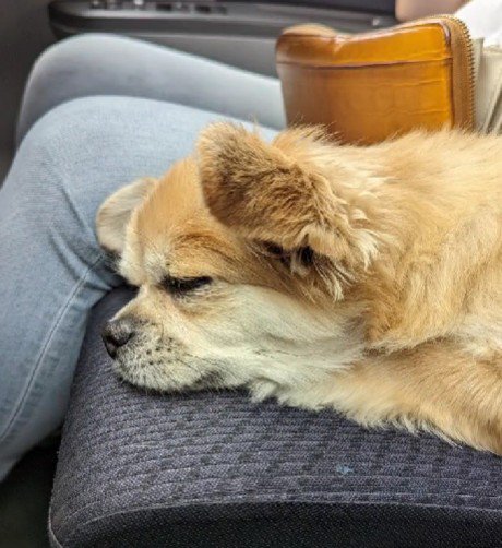 2人の絆を感じる一幕でした