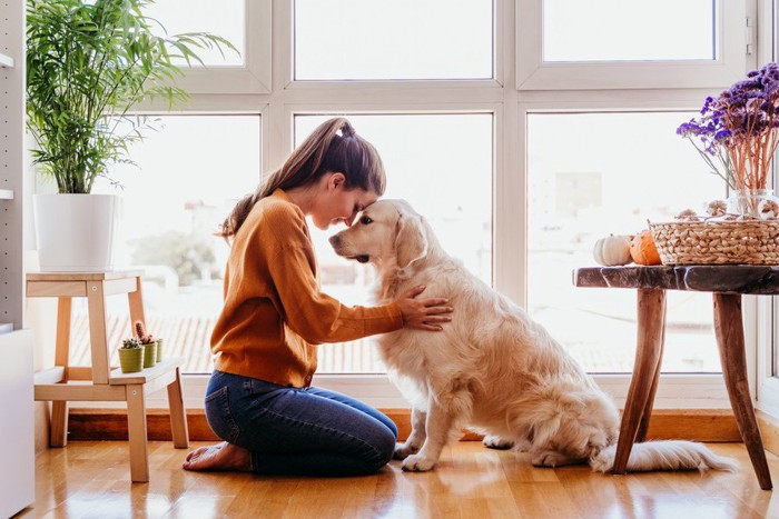 女性とおでこを合わせる犬