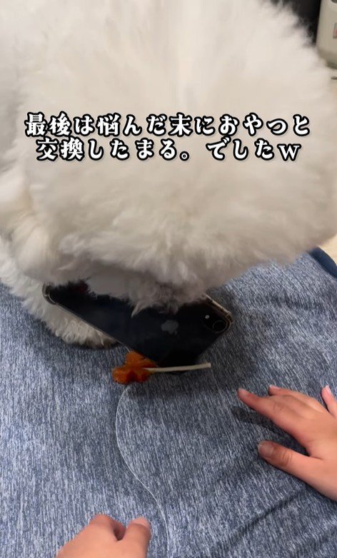 まる君VS男の子⑩