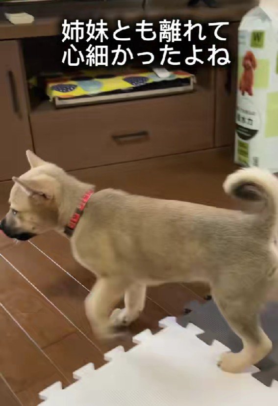 怖がる素振りを見せるように