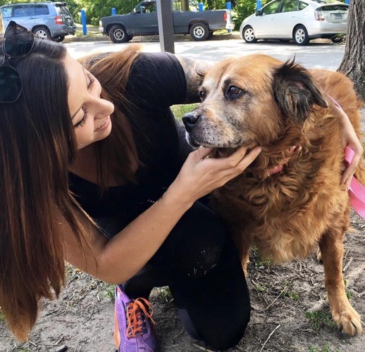 見つめ合う犬と女性