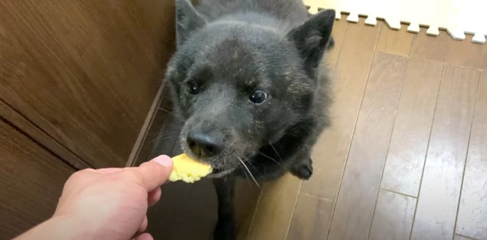 食べる一休さん