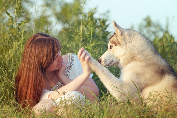 手と手を合わせる女性と犬