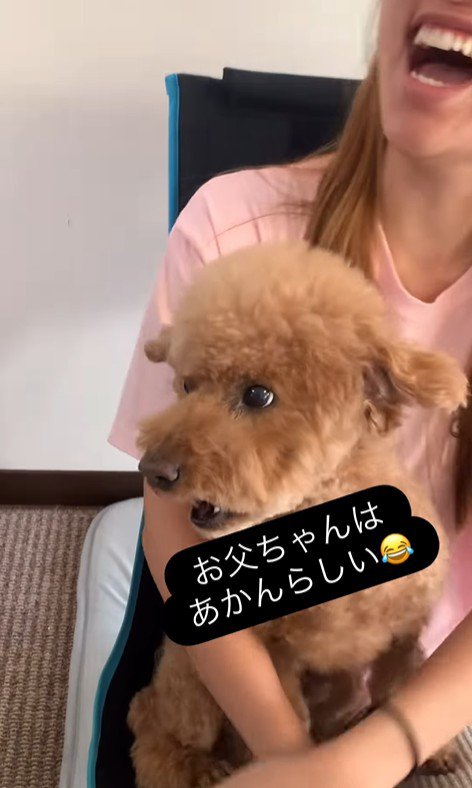 ドルくんの家族への態度の差⑩