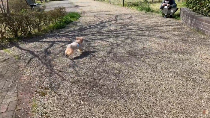 方向転換して全力ダッシュ！