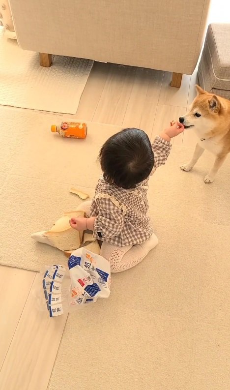 可愛すぎる共犯誕生