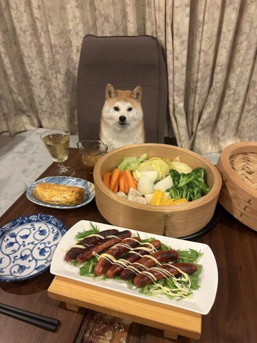 柴犬