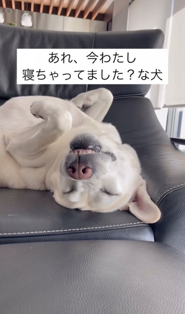 ZZZ
