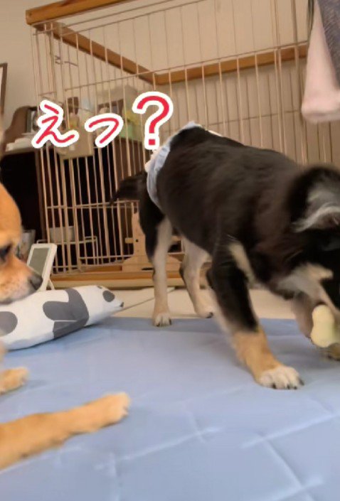 優しいナツちゃんにホッコリ