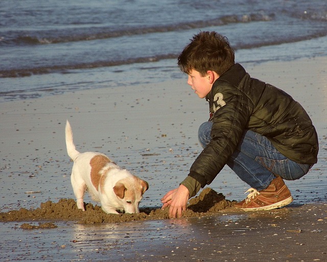 海辺の子供