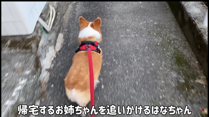 「帰るの?じゃあ私も!」