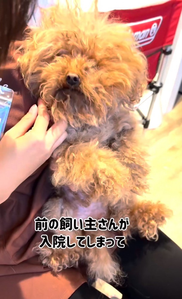 前飼い主さんが入院