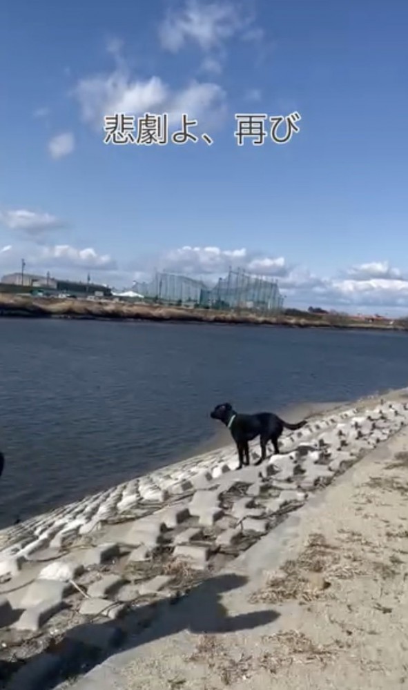 気持ち良い風