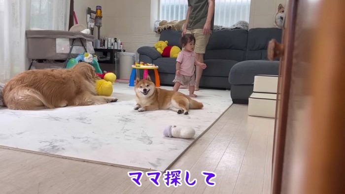 「ママはどこかな～？」