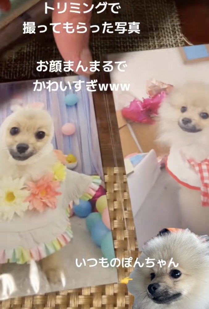 もう1枚も、とってもキュート