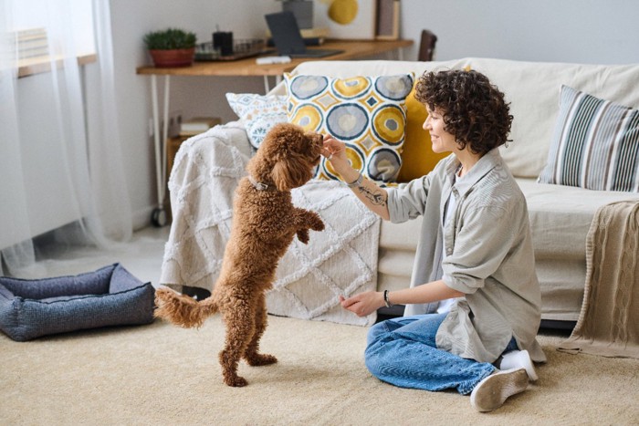 愛犬におやつを与える女性