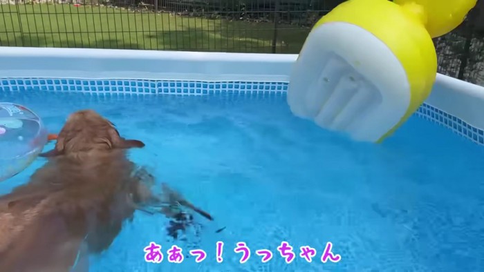 ボートが転覆！！