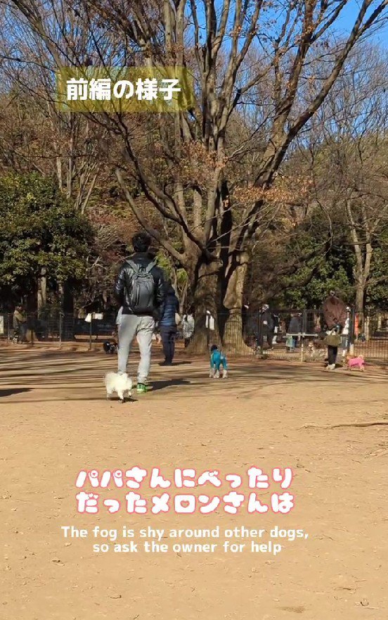 「パパ、待って～」