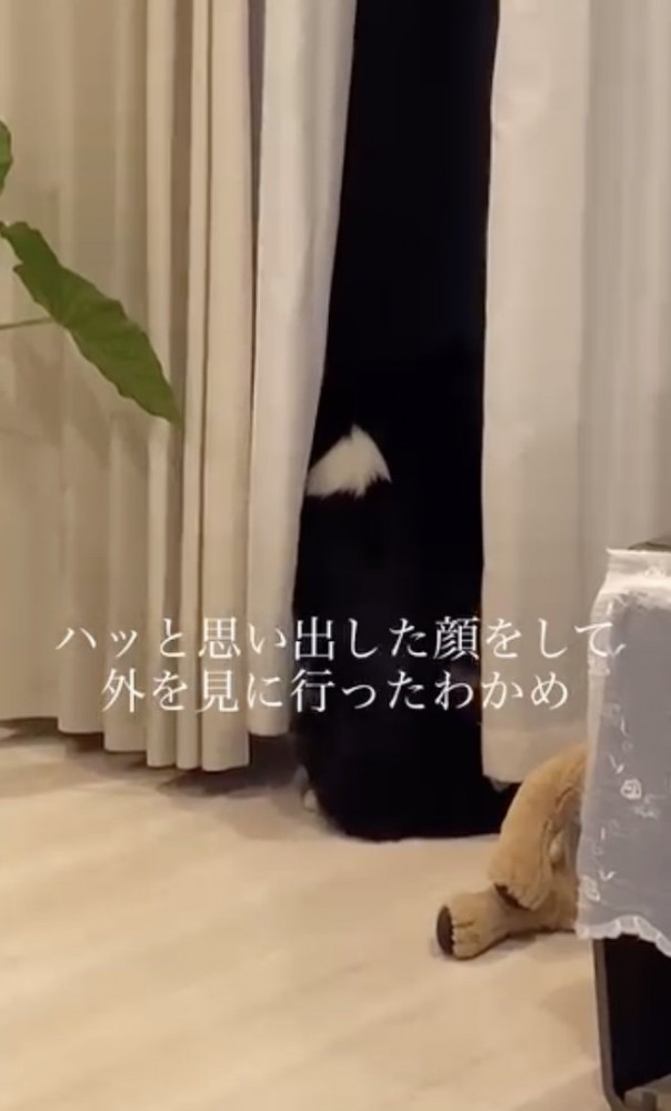 寂しさ全開