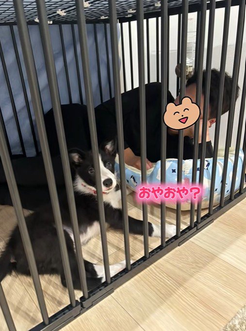 ルークくんと旦那さん4