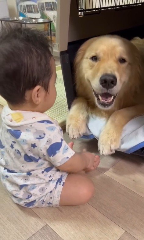 オレオくんと赤ちゃん5