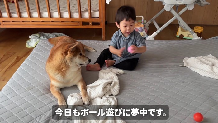 むぎちゃんと男の子