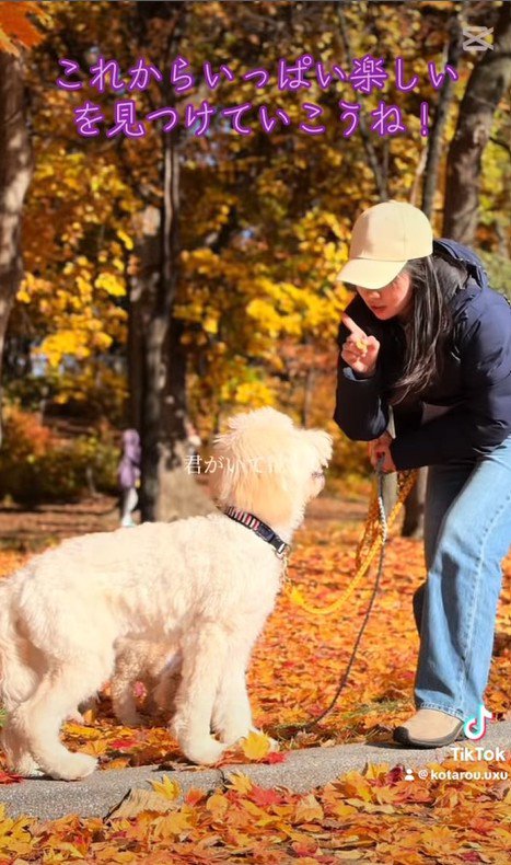アグちゃんをお迎えするまで9