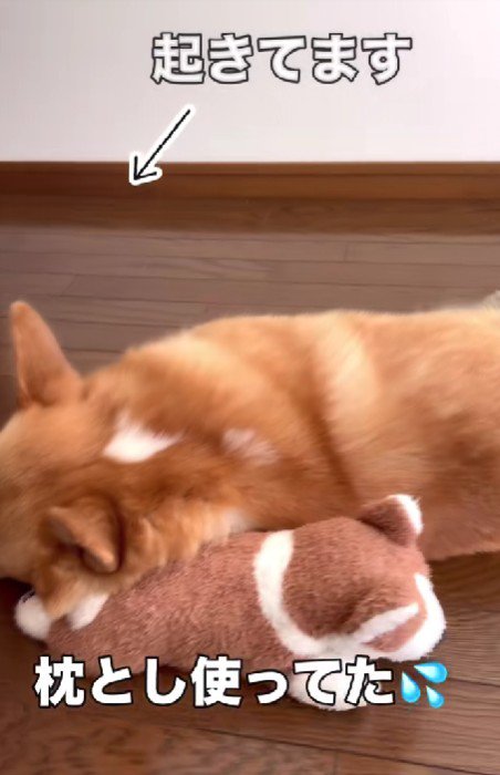 枕にしてしまうことも