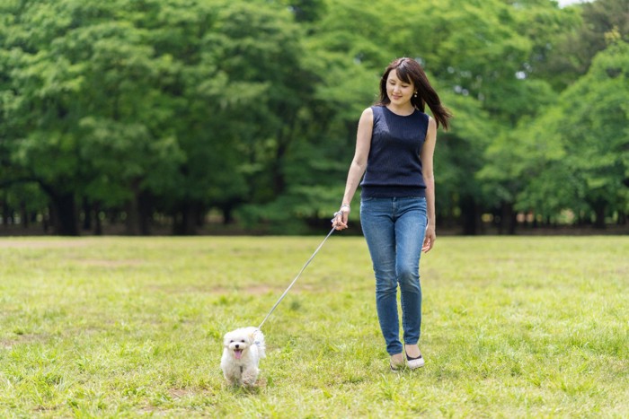 犬の散歩