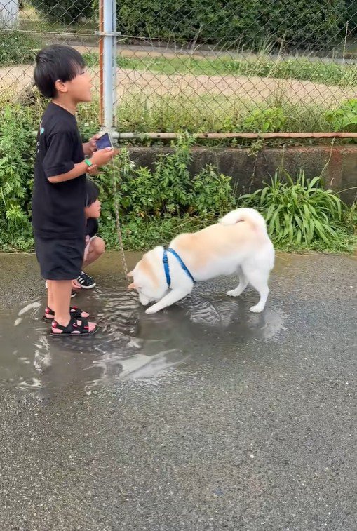 水たまりで遊ぶスズちゃんたち7
