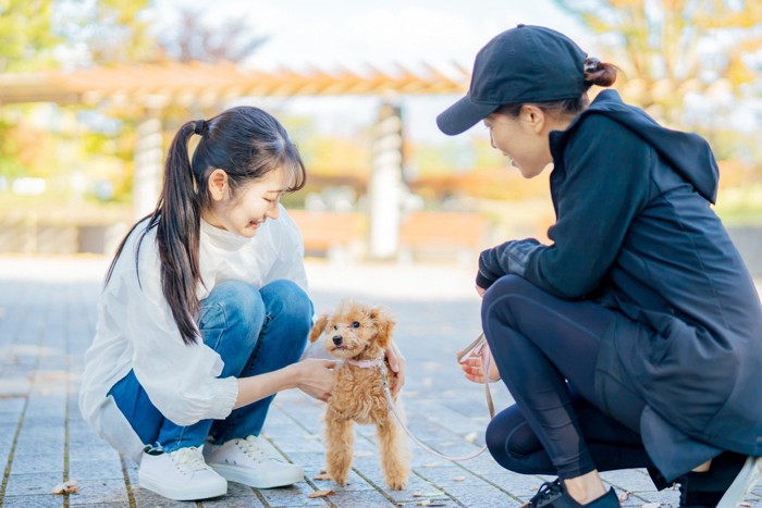 散歩中の女性と犬