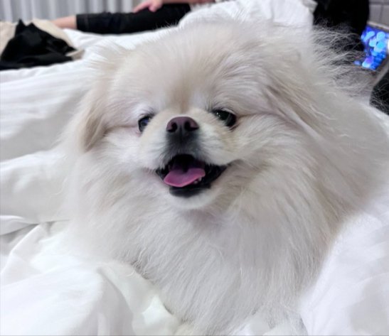 甘えん坊
