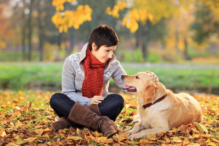 見つめる女性と犬