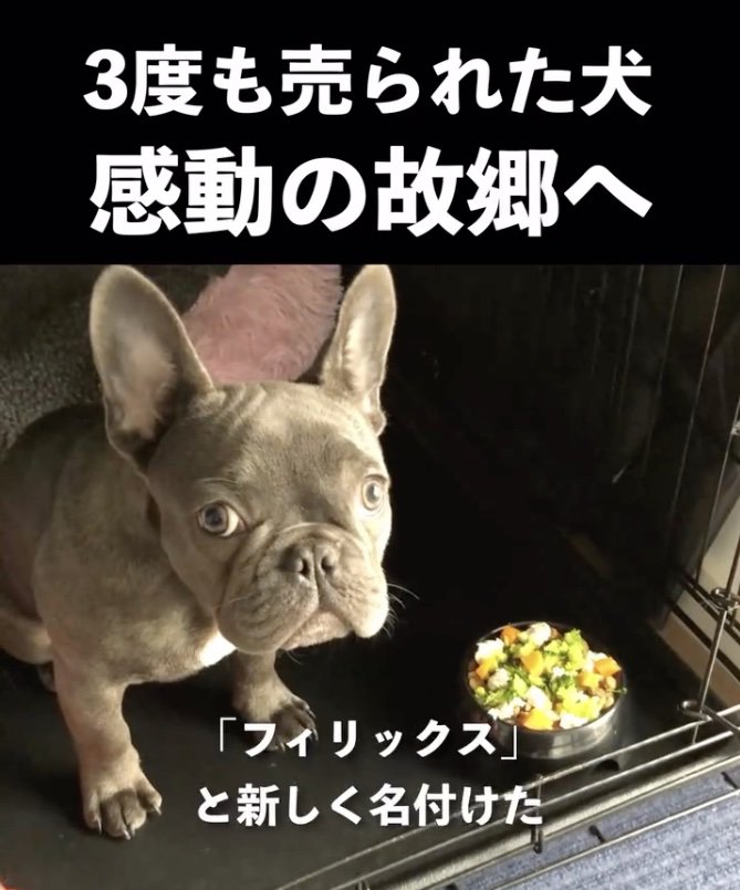 心機一転