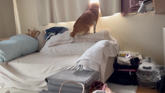 「おばあちゃんち行くの！？」