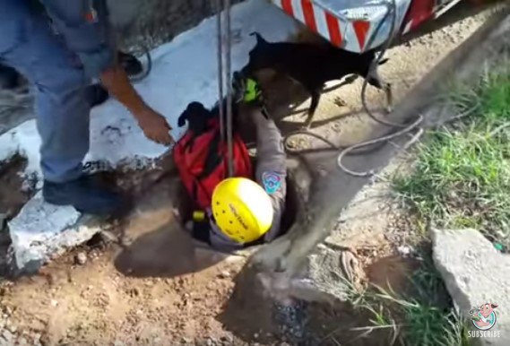 子犬の入ったバッグを渡す