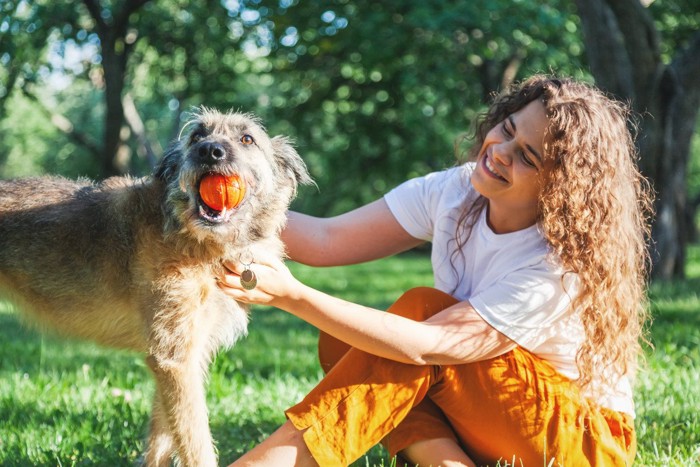 ボールで遊ぶ犬と女性