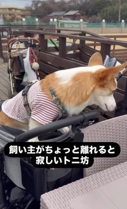 健気な姿にほっこり