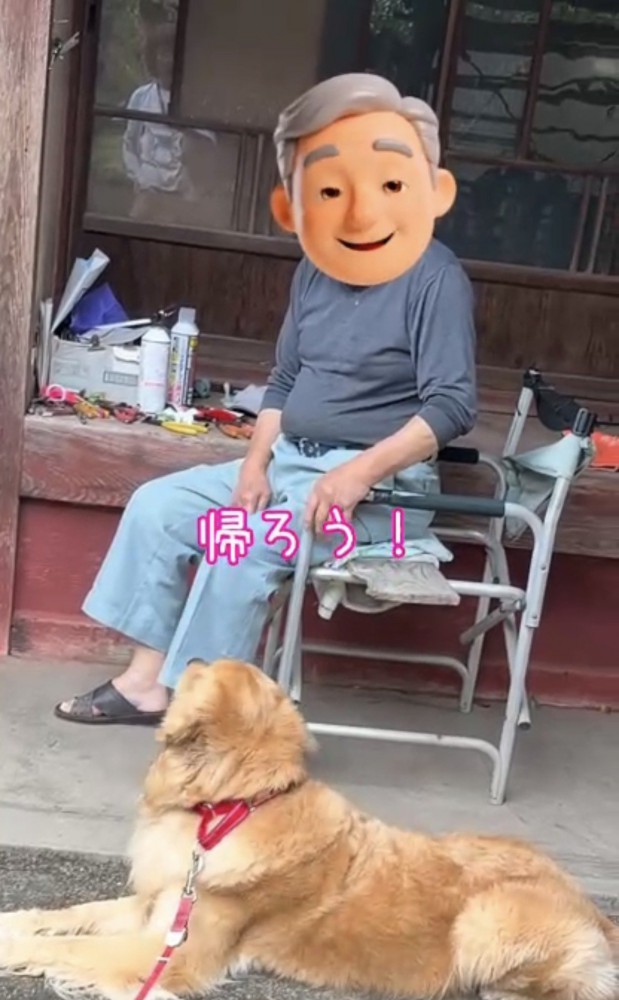 帰ろうと言われる犬