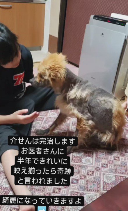 疥癬との戦い