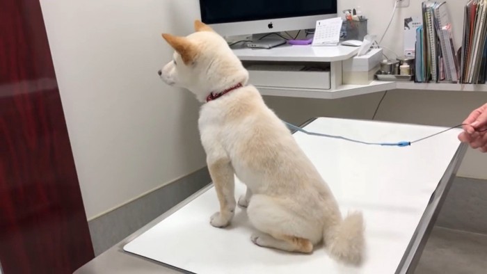 「先生、まだかな～？」
