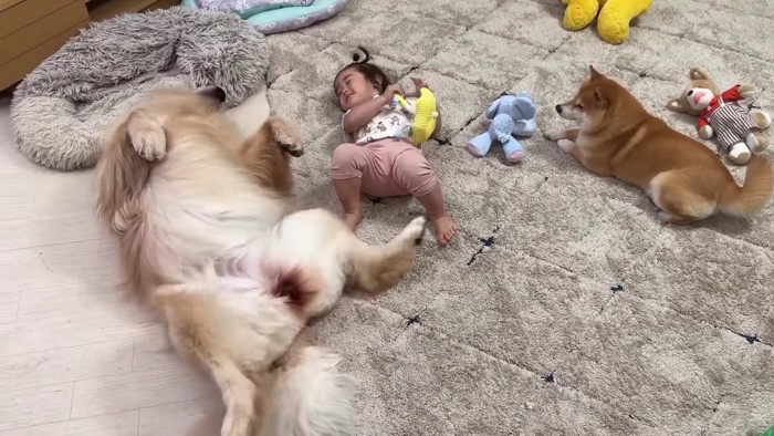 すぐに仲直り