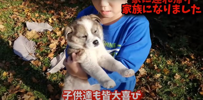 子どもに抱かれる雑種の子犬