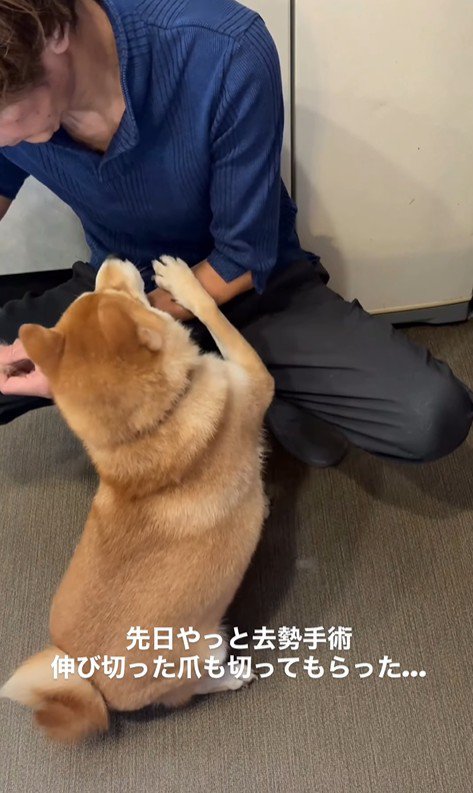 ぽんた君の変化8