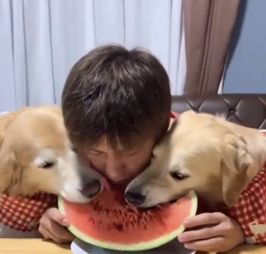 スイカを食べる犬と人